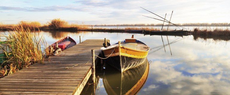 Visitar el Parque natural del Saler y dar un paseo en barca por l'Albufera