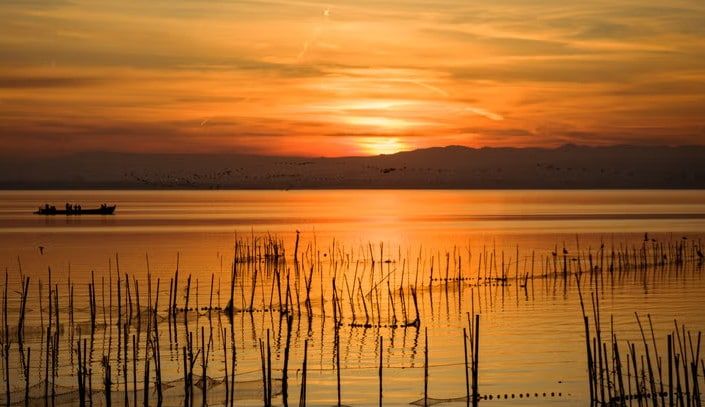 Acabar con el atardecer en la Albufera