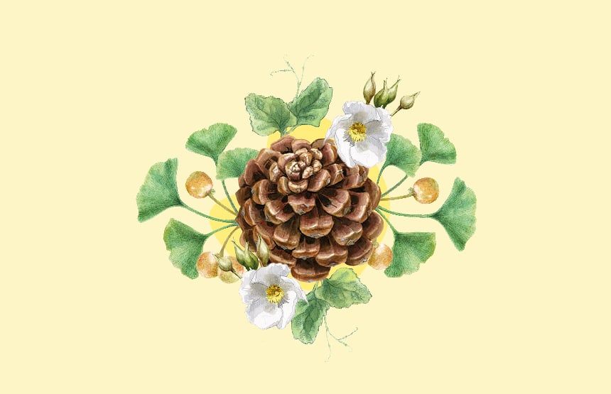Familia: Taller de ilustración científica: El Jardín Vertical