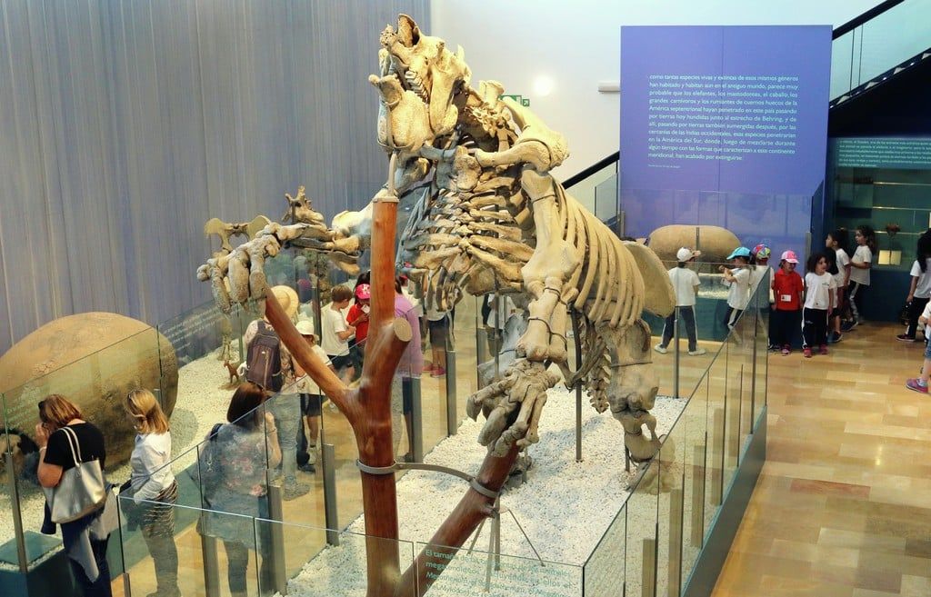 Museo Municipal de Ciencias Naturales