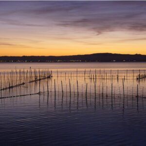 Parque Natural de l'Albufera