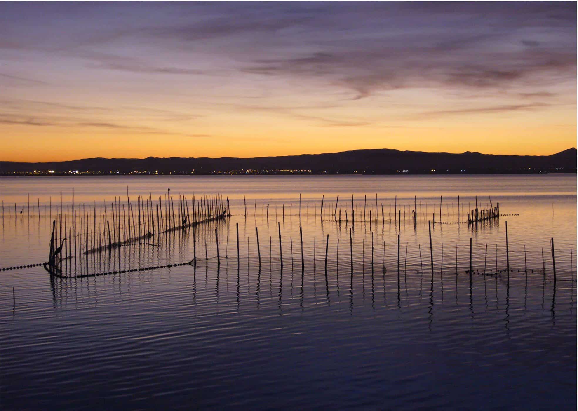 Parque Natural de l'Albufera