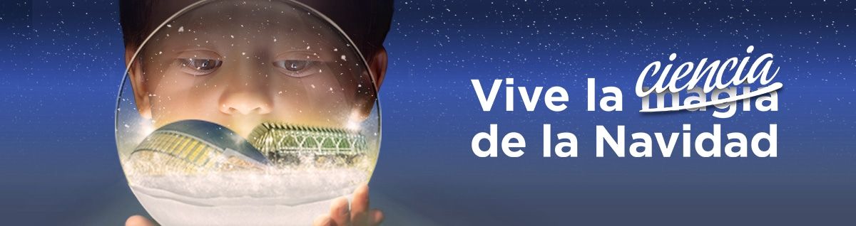 Mercado Navideño de las Artes y las Ciencias de Valenc