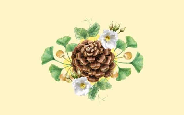 Taller de ilustración científica en familia: El Jardín Vertical en Valencia con niños
